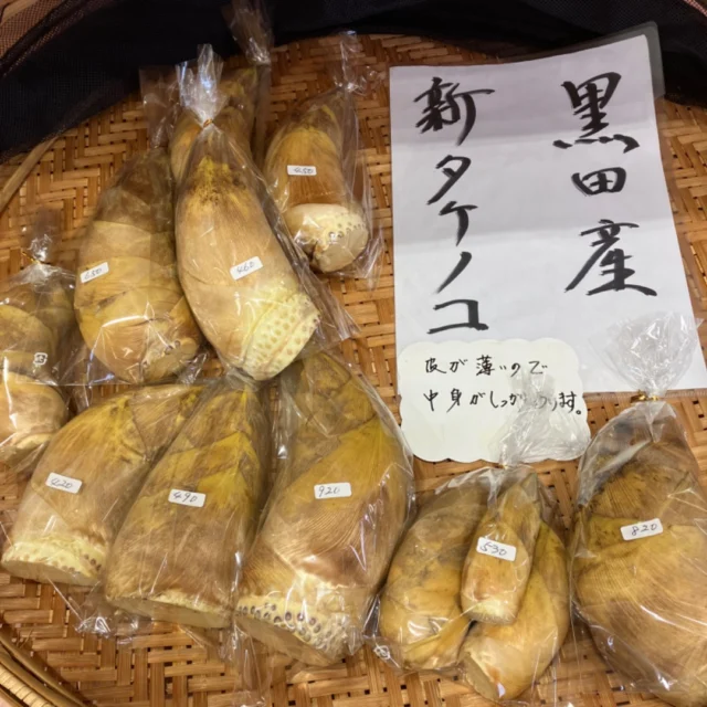 筍、ただいま入荷しました！！