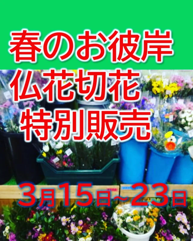 仏花・切花場所を拡大して
販売致します！！