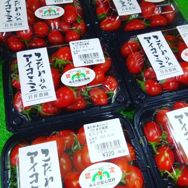 道の駅津かわげ「産直情報」
新しいトマト生産者さんが増えてます。

昔ながらの「トマト」
甘ーい「トマト」
種類豊富です。

土付きらっきょう
新鮮で美味しい「らっきょう」を漬けていただけるよう、土付きとなっています。

赤しそも出てきました。
しそジュースもよいですね。

道の駅の旬をお楽しみください。
ご来駅お待ちしております。

＃道の駅
＃道の駅津かわげ
＃津産津消 
＃津市
＃津市ランチ