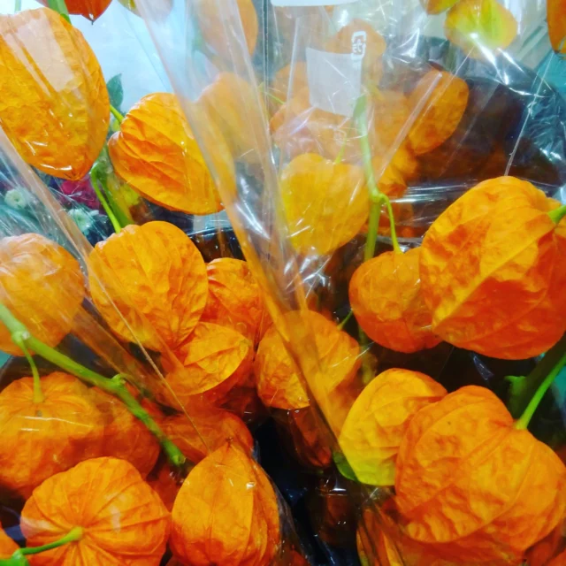 道の駅津かわげです。
心を込めて、お盆の準備に。
仏花、切り花売り場を拡大しております。進物コーナーもご利用ください。

#津市
#道の駅
#道の駅つかわげ
#津市ランチ
#三重県
#三重観光
#津観光