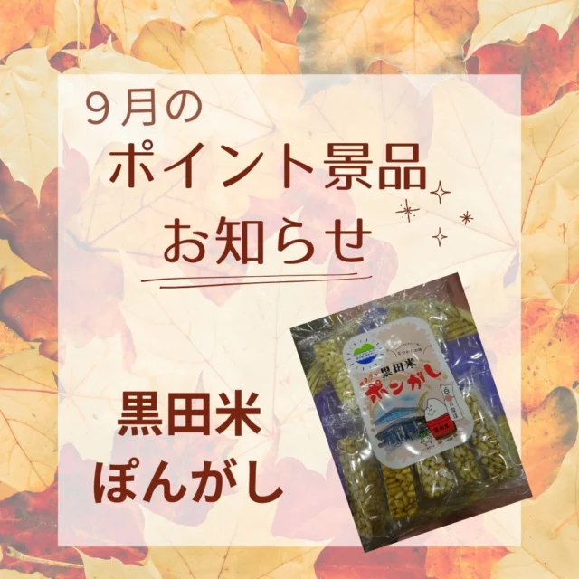 道の駅津かわげです。2025年９月ポイント景品は、昔なつかしの「ポン菓子」です。

三重県津市旧黒田村の地域で育まれたお米、甘味ともちもち食感のブランド米「黒田米」で作りました。

安心安全な美味しいお米で作られたお菓子です。

#道の駅津かわげ#道の駅#黒田米#三重グルメ#津市グルメ#津市おでかけ