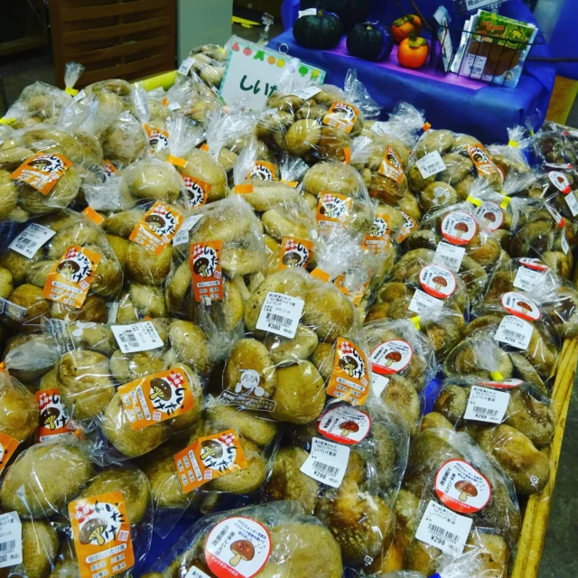 道の駅津かわげです。椎茸たくさん入荷しました！焼いて食べても、お鍋も美味しい😊

道の駅産直売り場、旬食材ご利用ください。

#道の駅
#津市おでかけ
#直売所
#野菜
#農家