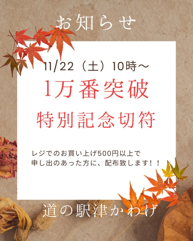 感謝！道の駅特別記念切符配布決定！
2025年11月25日（土）10時～なくなり次第終了。25日以降もなくなっていなければ、配布行う予定です。

皆様のご来駅をお待ちしています。

#道の駅
#道の駅特別記念切符
#道の駅全国制覇
