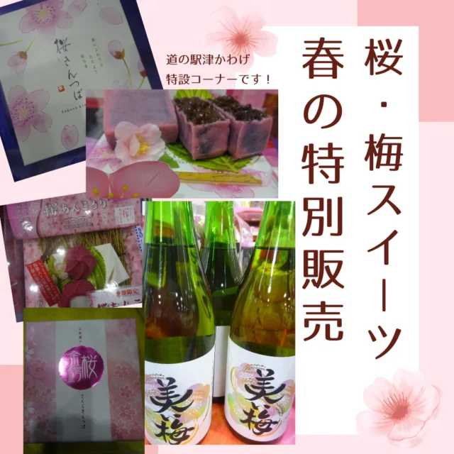 春の香りを閉じ込めた桜＆梅スイーツが増えてきました！！

ふんわり桜の香り🌸
爽やか梅の酸味
ティータイムのお供に❤
お土産に🎁

これから、
桜薄皮まんじゅう、
桜葉餅、
さくらクリームサンド、
南高梅うす焼、

焼きたてパンコーナーでは
毎年人気の桜あんぱん170円、
桜もち餡クロワッサン180円など
続々出てきます。

また、梅酒「美梅」津市のお米と梅
で出来ています！こちらは、常時販売しています！おすすめです。
#道の駅
#津市おでかけ