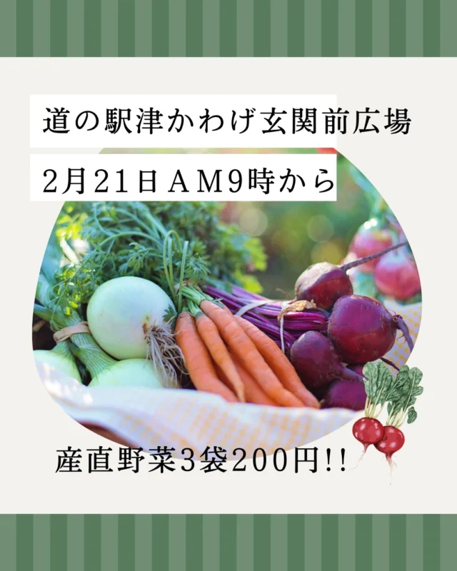 玄関前、イベント広場にてお野菜お得に販売中！人参、白菜、春菊など

ご来駅お待ちしております。

産直部会協賛。
#道の駅
#津市おでかけ
#直売所
#野菜
#農家