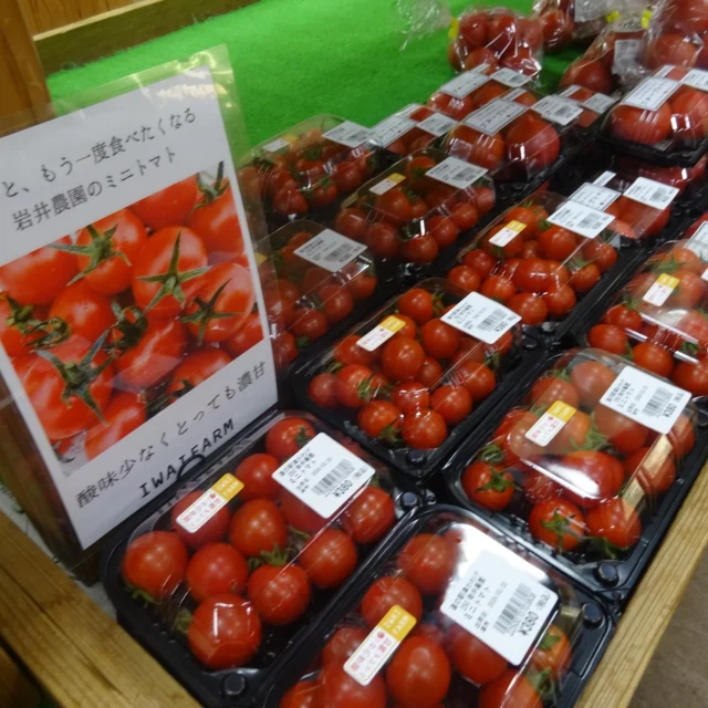 道の駅津かわげ✨産直売り場、いちご、かんきつ、冬～春のお野菜、切り花、今朝も近隣農園から続々、届いてます！

甘い種類のトマト人気です！！

しいたけ肉厚でジューシー！！
旨みたっぷり。食感も素晴らしい✨

新鮮な椎茸は、焼くだけでも深いコクと香ばしさが楽しめます。椎茸のステーキおすすめです。

皆様のお越しをお待ちしております。

#道の駅
#津市おでかけ
#直売所
#野菜