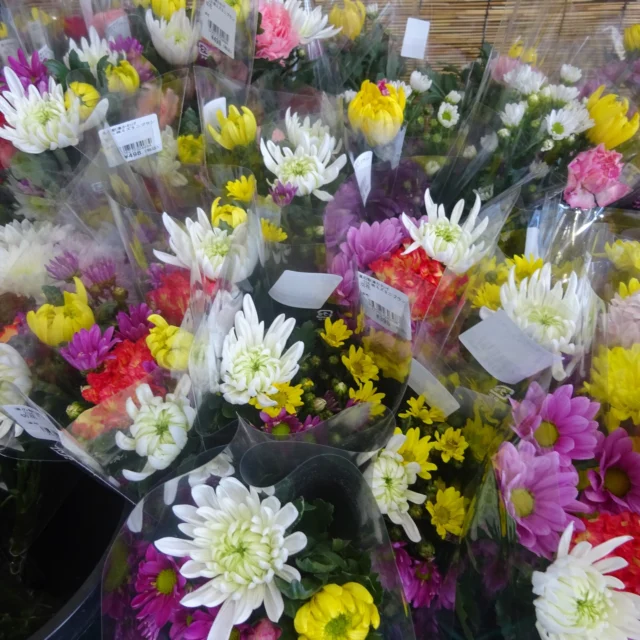 道の駅津かわげ「春のお彼岸」用のお花売場拡大して好評販売中！！

皆様のご来駅お待ちしております。
#道の駅
#津市おでかけ
#直売所