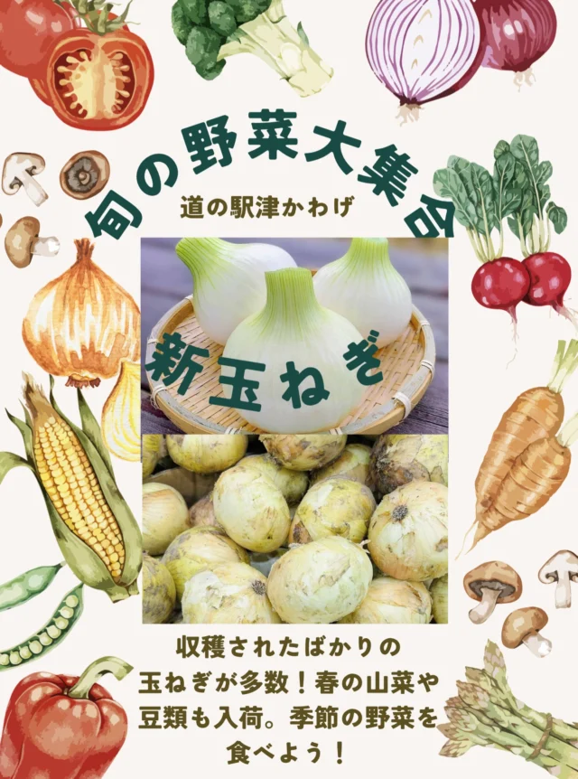 地元の旬野菜も たくさん入荷しています！季節の野菜は、味が濃くて美味しく、安価なものも多いです。たくさん食べてくださいね。

皆様のお越しをお待ちしております。

#道の駅
#津市おでかけ
#直売所
#野菜
#農家