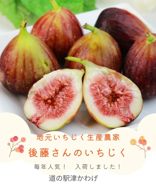 道の駅津かわげ人気商品✨後藤さんのイチジク始まりました！！

今年は、ナフサ不足の影響でパッケージが小さく2個～3個入りケースに入って、お買い求めやすく、販売中です。

おすすめです！

#道の駅
#津市おでかけ
#直売所
#観光三重