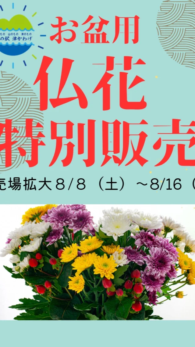 🌿お盆用仏花のご案内🌿

お盆期間中は、仏花切り花を通常より増量してご用意しております。

ご先祖様への感謝の気持ちを込めて、お花をお供えしませんか。

皆さまのご来駅をお待ちしております。

#仏花 #津市#お盆#お供え花 #道の駅 # 観光三重