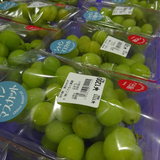 🍇季節限定販売🍑

本日は、旬を迎えたフルーツが勢ぞろい！ 今しか味わえない特別な美味しさをお届けします。

皆様のお越しをお待ちしています。

#季節限定 #旬の果物 #フルーツ #道の駅津かわげ#津直売所

津市河芸町三行255-4
道の駅津かわげ