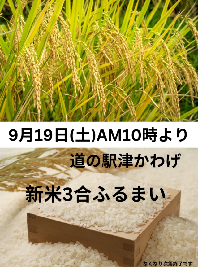 🌾新米3合ふるまいます🌾

お配りするお米は、店内で販売してる生産者さんのお米です！

新米の香りや甘みを楽しんでいただき、お米選びの参考にしていたけたら嬉しいです😊

毎日の食卓に「また食べたい」と思えるお米との出会いがありますように🍚✨

数量限定のため、お早めに😊

#新米 #お米 #新米プレゼント #道の駅津かわげ

米生産者さんご提供。ありがとうございます。