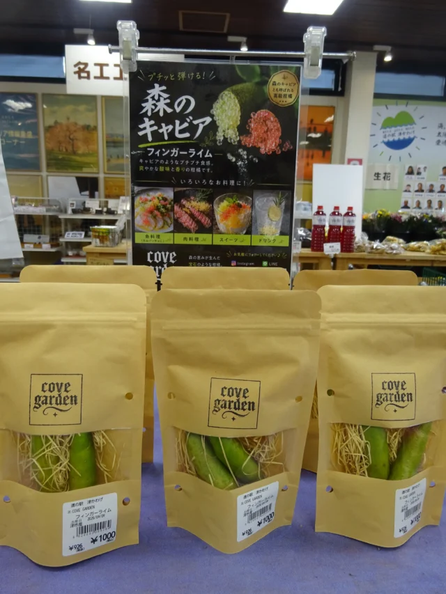 🌿本日、初出品！🌿

三重県津市で大切に育てたフィンガーライムを販売✨珍しい、道の駅ならでは、なかなか出会えない果実✨

プチプチとはじける食感と爽やかな香りが魅力の“森のキャビア”。 ぜひこの機会にお試しください😊

皆様のお越しをお待ちしています😊

#フィンガーライム #森のキャビア #津市 #津市産 #生産者直売 #道の駅 #道の駅津かわげ