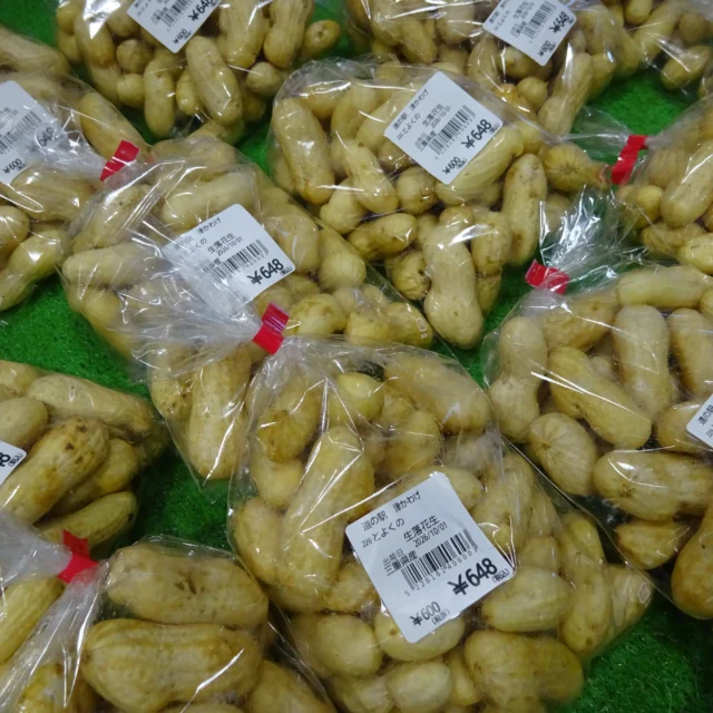 🥜旬の味覚「生落花生」入荷🥜

おすすめは「塩ゆで」！ やわらかくホクホクで、採れたてならではの甘みと香りが楽しめます✨

ビールのおつまみに、おやつに🍺

今しか味わえない生落花生をぜひどうぞ！

✨生栗もあります✨

栗ごはん、渋皮煮、甘露煮、お菓子作りにもおすすめ😊

#生落花生 #塩ゆで落花生 #道の駅津かわげ #秋の味覚 #津市直売所