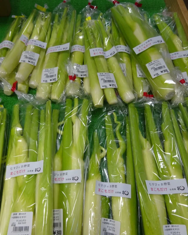 道の駅津かわげ🌿まこも入荷しました！

今が旬✨ シャキシャキ食感が楽しめる秋の味覚です😊

天ぷらや炒め物におすすめ♪

#まこも #真菰 #旬の野菜 #三重県産直 #道の駅津かわげ